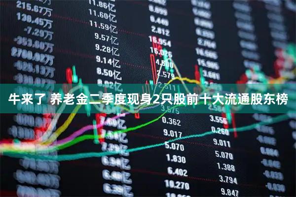 牛来了 养老金二季度现身2只股前十大流通股东榜