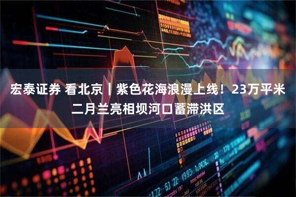 宏泰证券 看北京｜紫色花海浪漫上线！23万平米二月兰亮相坝河口蓄滞洪区